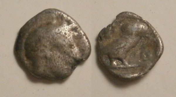 Athene AR Hemiobol -Athene / uil- 455 / 9 BC