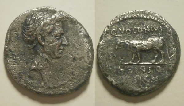 Julius Ceasar Divus AR Denarius -Q Voconius Vitulus- 40 BC